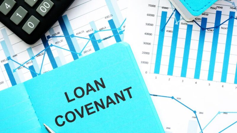 Credit Rating Agencies and Loan Covenants