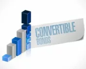 convertible bonds