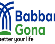 Babban Gona
