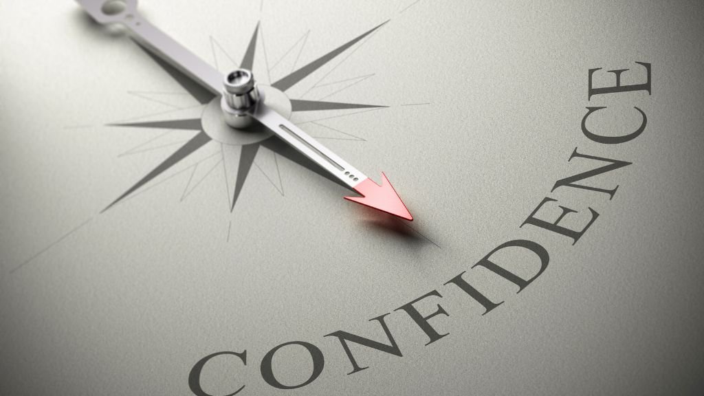 Public Institutions and Investor Confidence Rating