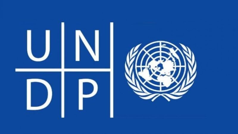 Lowering the Cost of Borrowing in Africa: UNDP Perspective