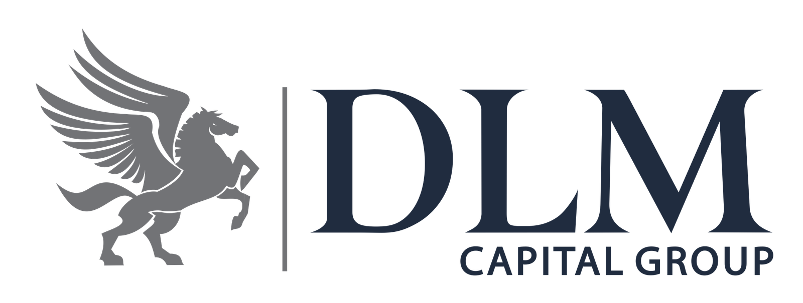 DLM-Capital-Group