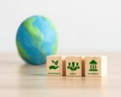Sustainability Risk in Credit Rating