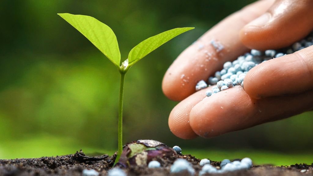 Key Credit Factors for the Agribusiness