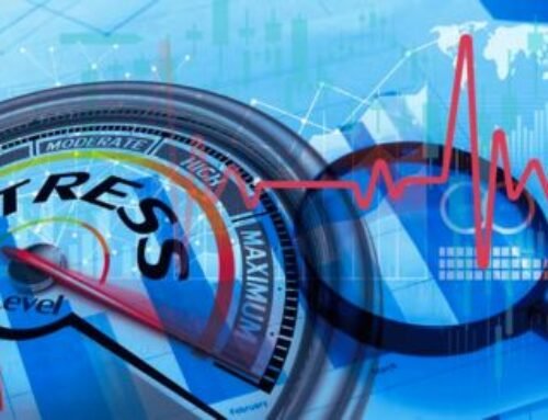 Stress Testing & Sensitivity Analysis in Credit Ratings