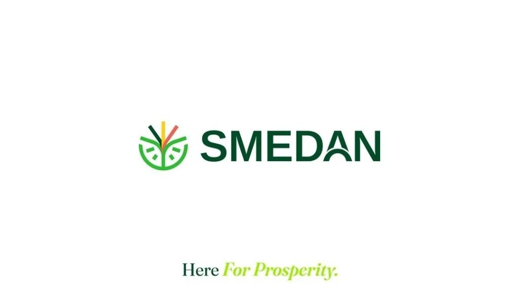 How SMEDAN Can Leverage Credit Rating For SMEs Financing