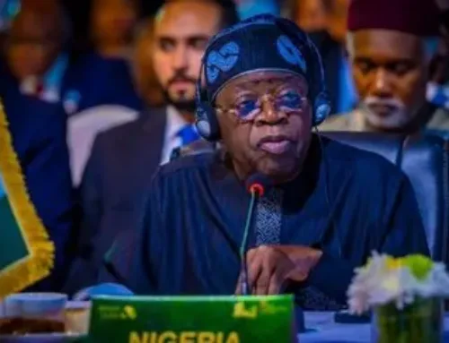 Imperatives For Africa Owned Credit Rating Agency: President Tinubu.