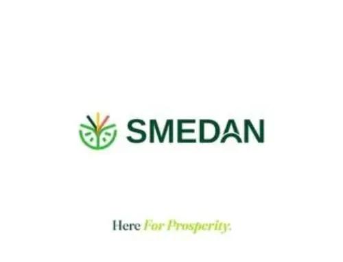 How SMEDAN Can Leverage Credit Rating For SMEs Financing