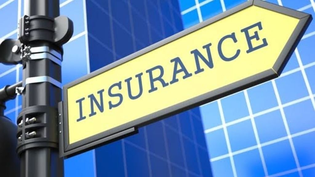 Insurance Recapitalization and Credit Rating_ The Nexus